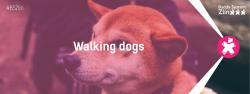 walking dogs